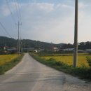 고대2리 이미지