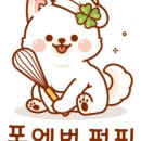 퍼피원데이 이미지