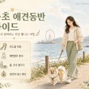 소망이네애견샵 | [1박2일 힐링 코스] 속초 애견동반 여행지 ☕ 숙소부터 감성 카페·숲길 산책로까지 완벽 가이드