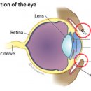 어울동물의료센터 이미지