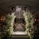 화이트홀 이미지