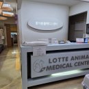 롯데동물메디컬센터 이미지