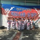 박조현태권도장 이미지