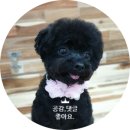 컴포즈커피-원주혁신도시건강로점 방문 후기