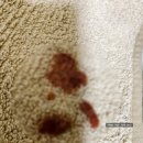 덕은하이동물병원 이미지