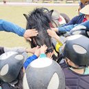 옴천초등학교 이미지