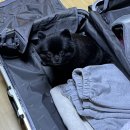 호텔골든데이지 이미지