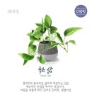 오늘의 말씀 (11월26일 – 재난의 시작 (1)) 이미지