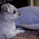 비에이치씨 수송롯데점 이미지