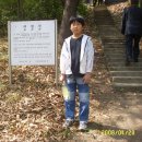 의현사 Daum카페