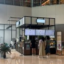 마이쥬스을지트윈