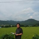 만년태양광발전소 이미지