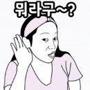 웃긴 짤(2) 이미지