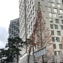 엑스포로123번길(유성-106) 이미지