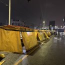 나혼자 산다 구성환 부산 영도포장마차 / 분위기 치사량 한도초과. 비올땐 난리나요 [통영집] 꼼장어 LA...