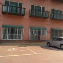 대선월드피아 이미지