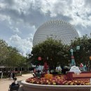 애니멀 쉐프 | 디즈니 애니멀킹덤 앱콧 | 미국 올랜도 디즈니월드 디즈니랜드