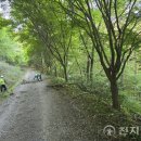 물무산행복숲둘레길 이미지