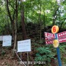 유명산 네이버블로그