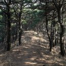 비홍산성 이미지