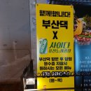 사이다퓨전노래광장