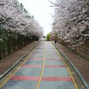 신창면 순천향로 이미지