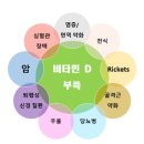 비타민Ⅰ
