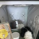 하하호호프렌드 이미지