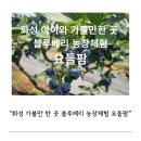 요들팜 이미지