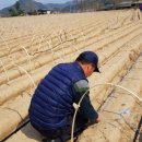 대지농산 이미지