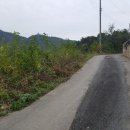 서대리농장 이미지