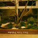 조경치과의원 이미지