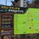 태청산 편백나무숲 트레킹길 이미지