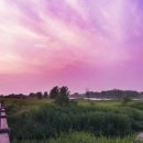 평택-평택-7 이미지