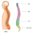 안양호계동필라테스|&#34; 거북목 교정 &#34;에 효과적인 필라테스 동작과 수업방식