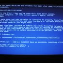 혜성태권도체육관 이미지