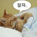 명당6길 이미지