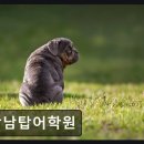 강남탑어학원