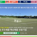 황성공원 축구공원 4구장 이미지