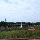 장미정원 이미지