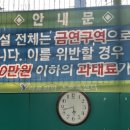 테니스러버 이미지