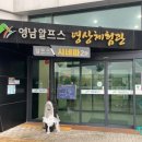 알프스시네마2관 이미지