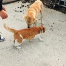 호동이농장 이미지