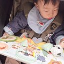 비지플레이11