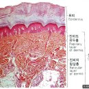 경희피레토한의원 이미지