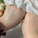 은은한 선 이미지