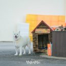 일과2리경로당 이미지