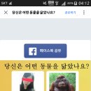 나예전에 페북프사로 닮은동물찾기했었는데 이미지