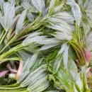 금월농장 이미지