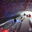 숲속아이 3 이미지